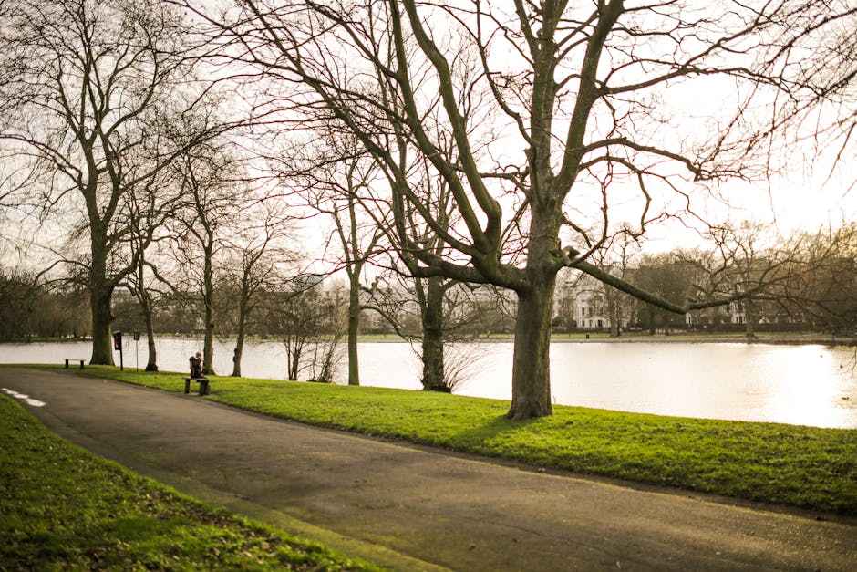 A serene lakeside scene features a paved pathway curving along the edge of a calm body of water, with a grassy embankment separating the path from the lake. Several mature, leafless trees with texture